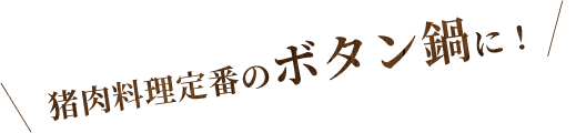 猪肉料理定番のボタン鍋に！